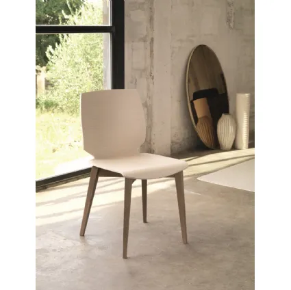 Wooden chair Shell S149 by Friulsedie.