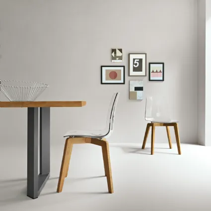 Talya Chair in Polypropylene by FGF Mobili